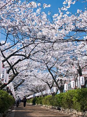 Kakiya Ryokan Kamakura Dış mekan fotoğraf